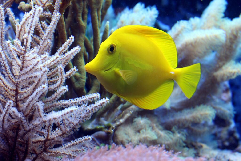 saint-malo with kids_aquarium_the knowledge nuggets