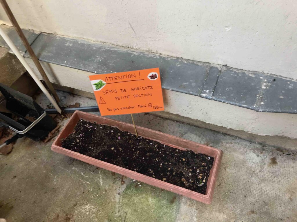 french preschool_gardening_the knowledge nuggets