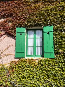 claude monet house window