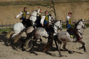 puy du fou show