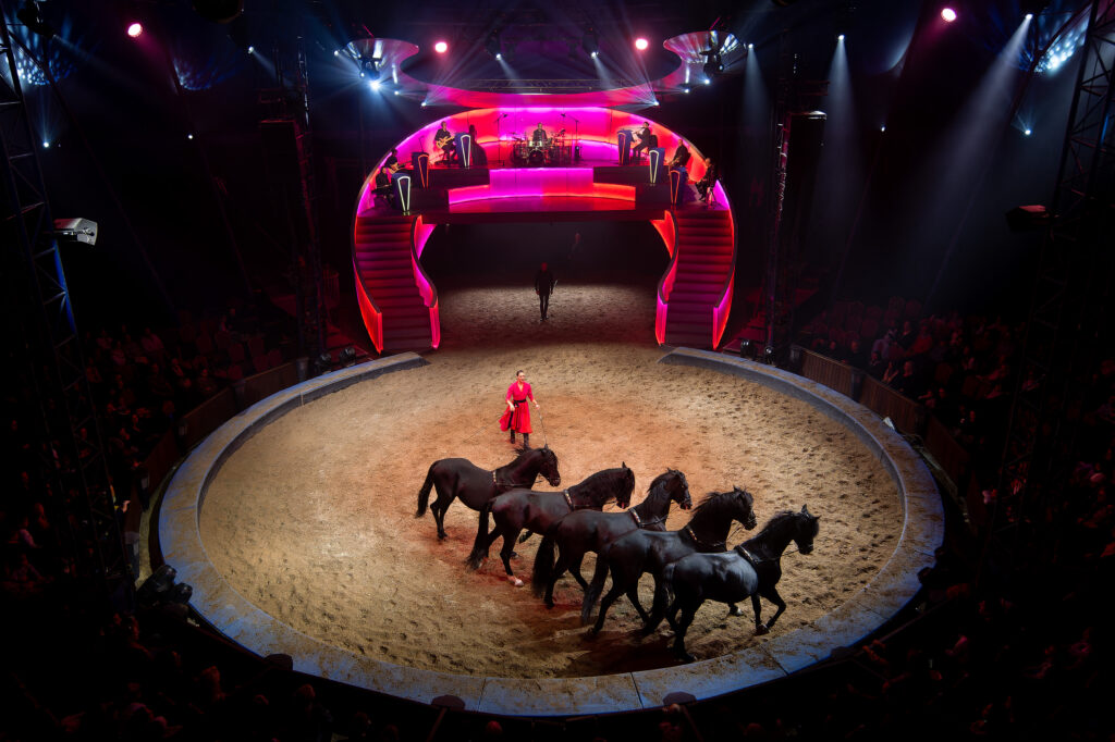 Folies Gruss show christmas with kids in paris