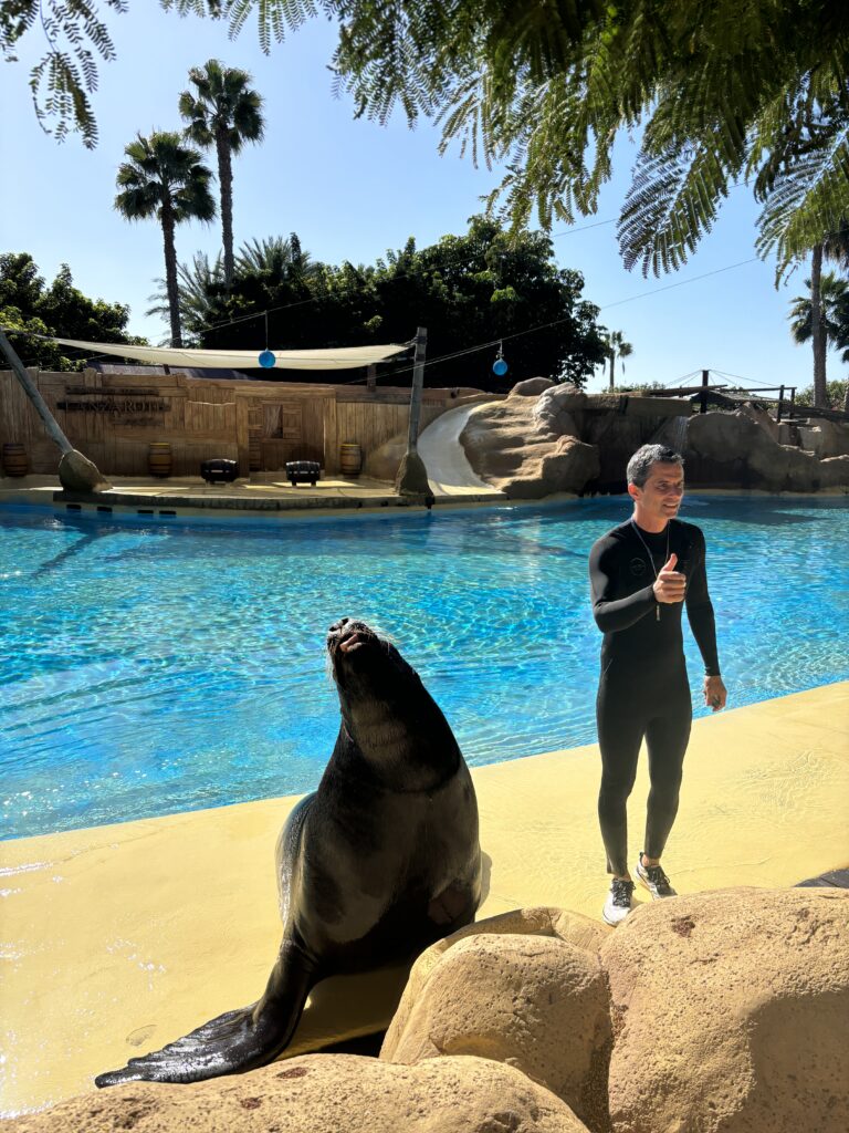 rancho texas park, lanzarote with kids, sea lion show
