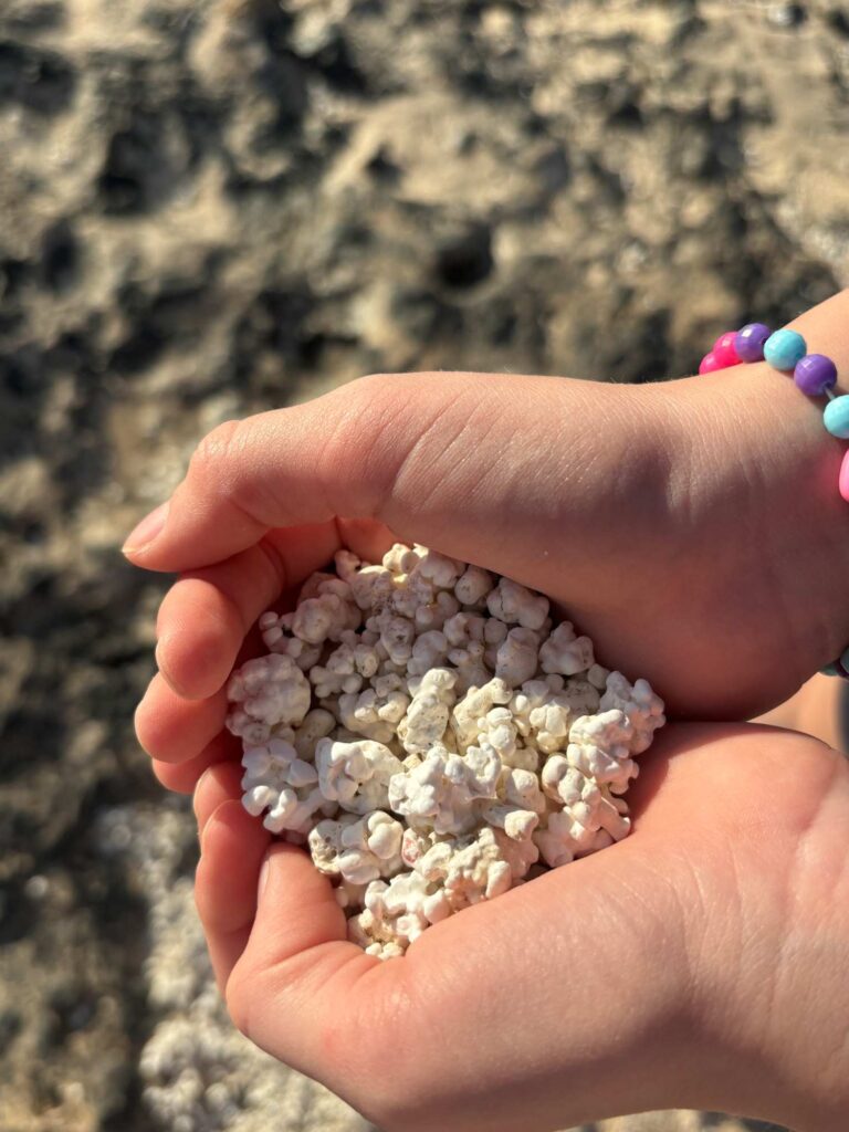 fuerteventura with kids_popcorn beach_the knowledge nuggets