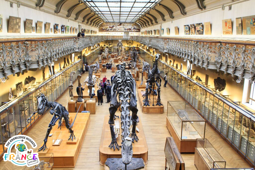 Grande Galerie de l'Évolution Paris Itinerary Kids - The Knowledge Nuggets