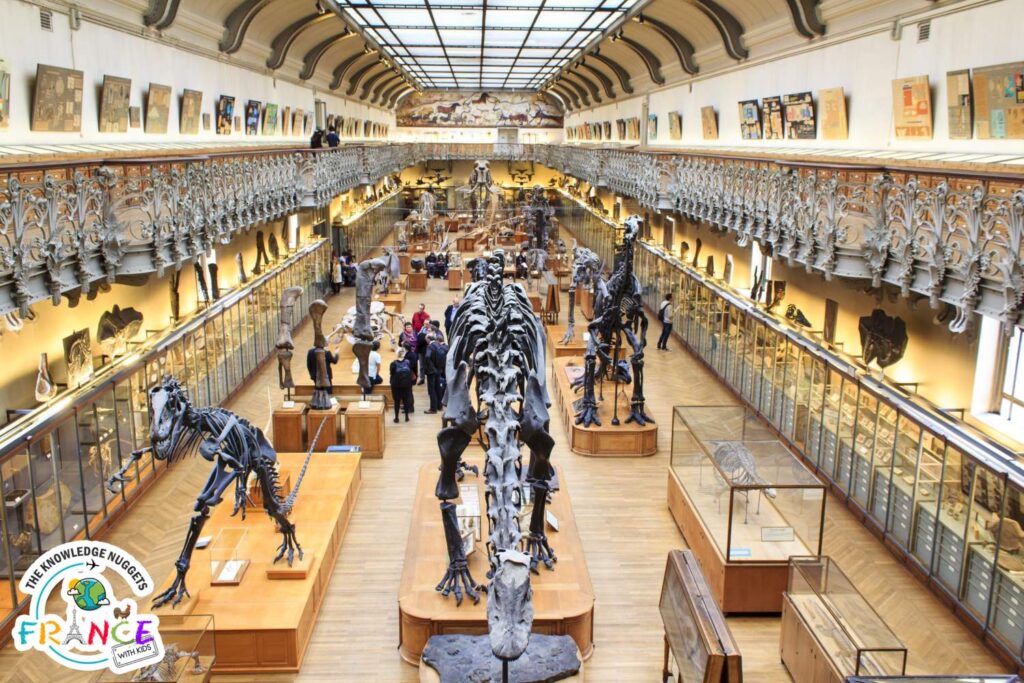 Grande Galerie de l'Evolution - Best Museum Paris kids - The Knowledge Nuggets