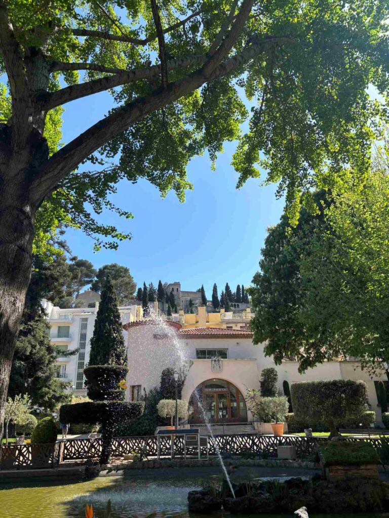 Cassis-with-kids-park-the-Knowledge-Nuggets