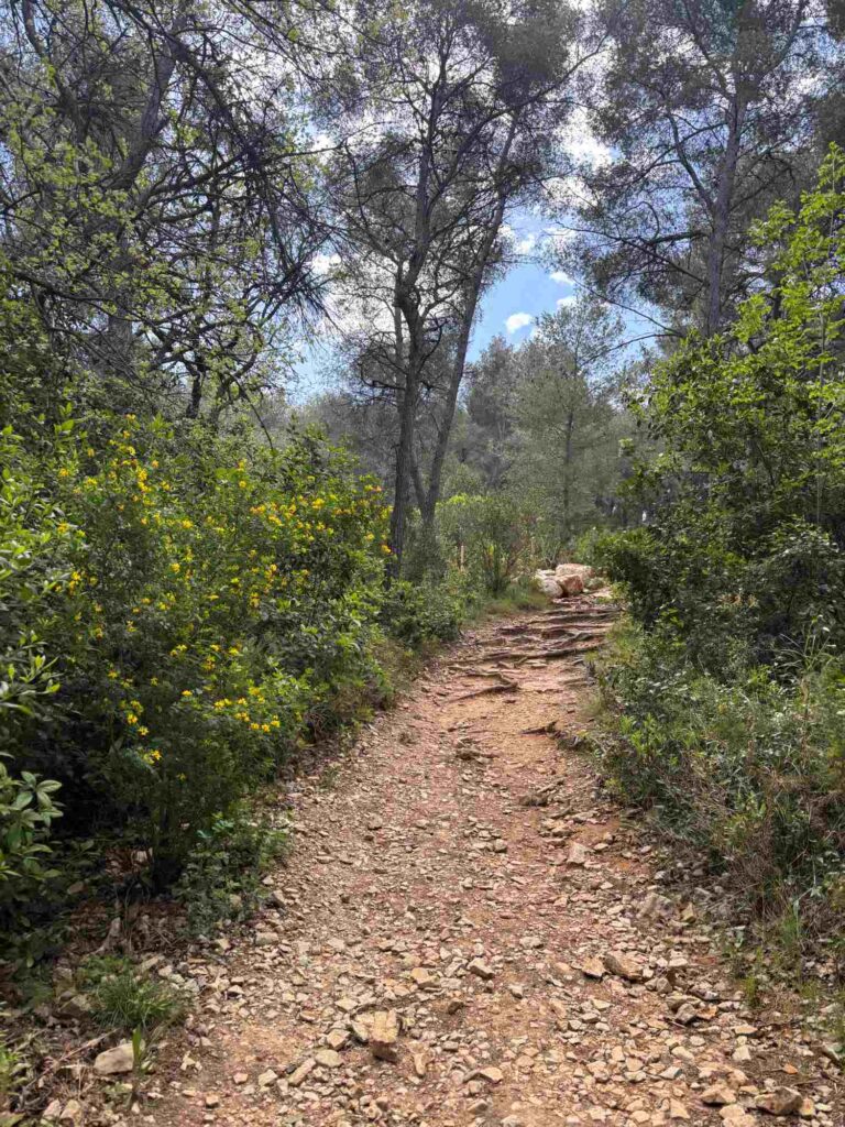 sugiton-trail-marseille-with-kids-the-knowledge-nuggets
