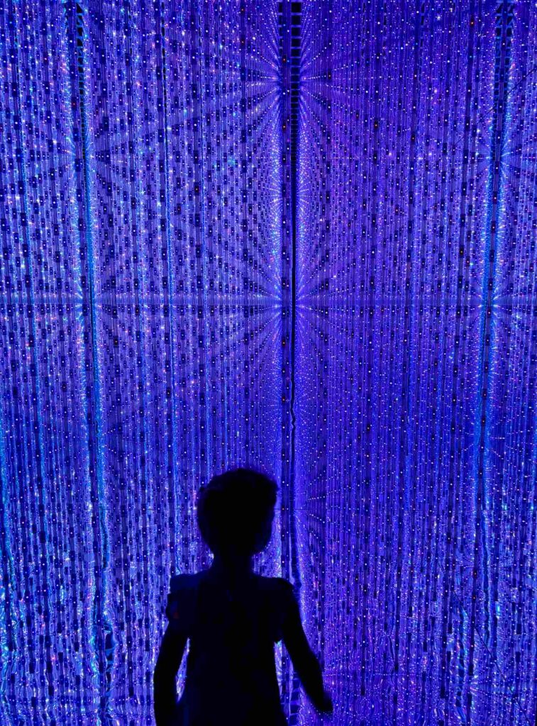 ArtScience Museum3_Singapore with kids_the knowledge nuggets