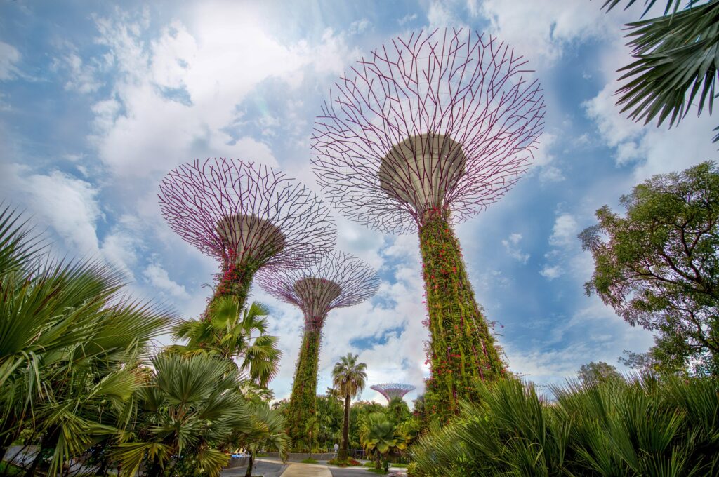 Singapore with kids_the knowledge nuggets