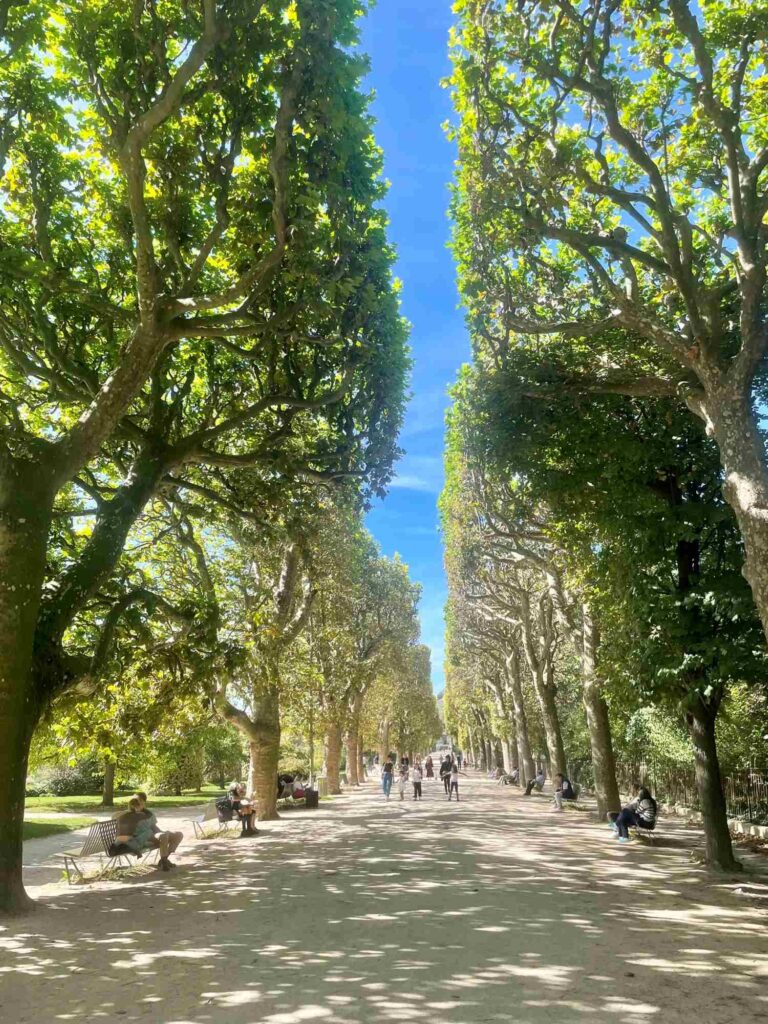 jardin des plantes_where to stay in paris with kids_the knowledge nuggets