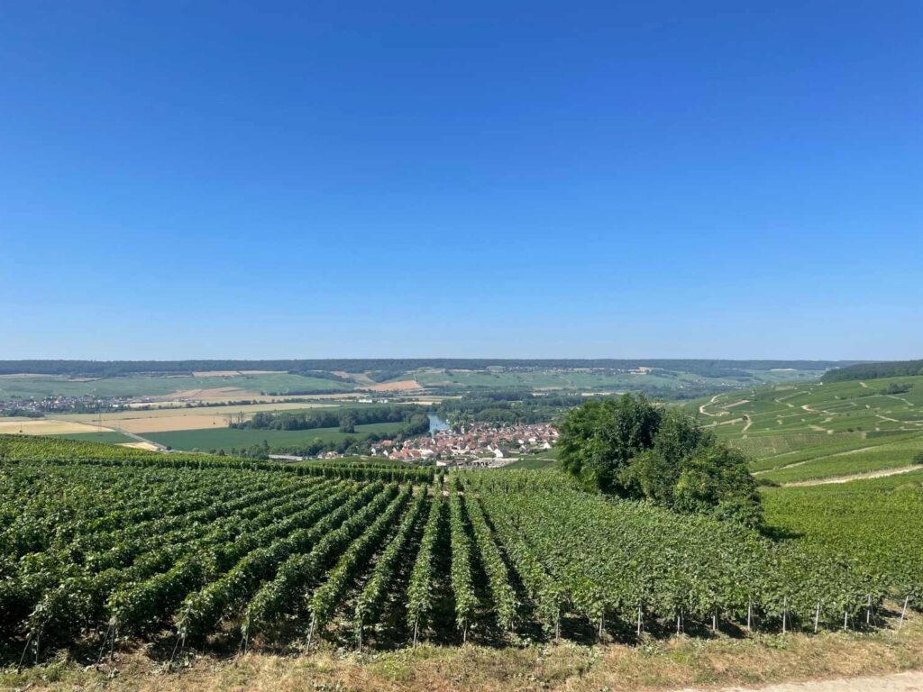 day trips from paris-champagne-the knowledge nuggets