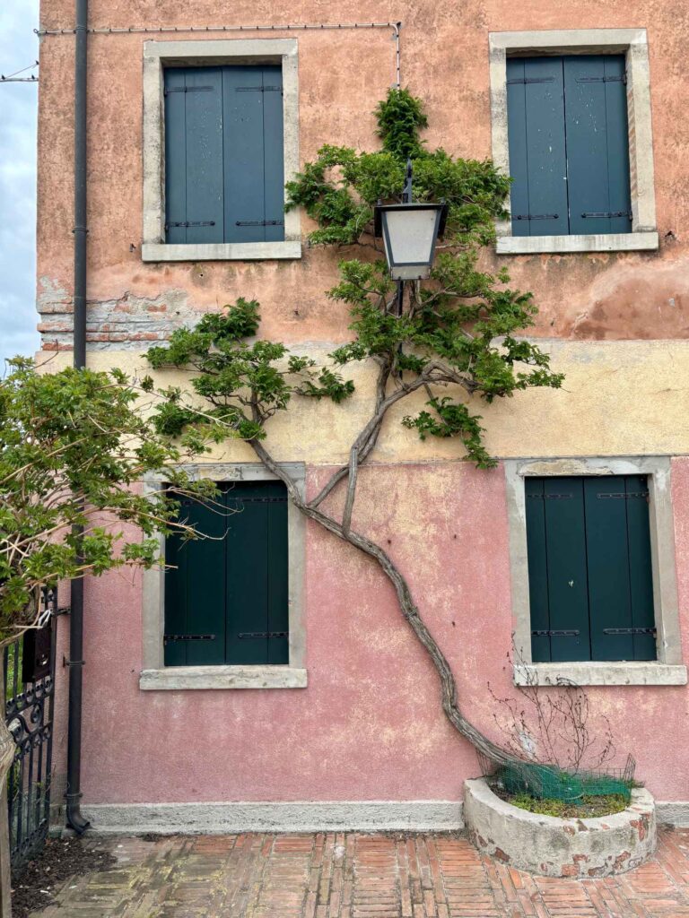 wall-torcello-the knoweldge nuggets